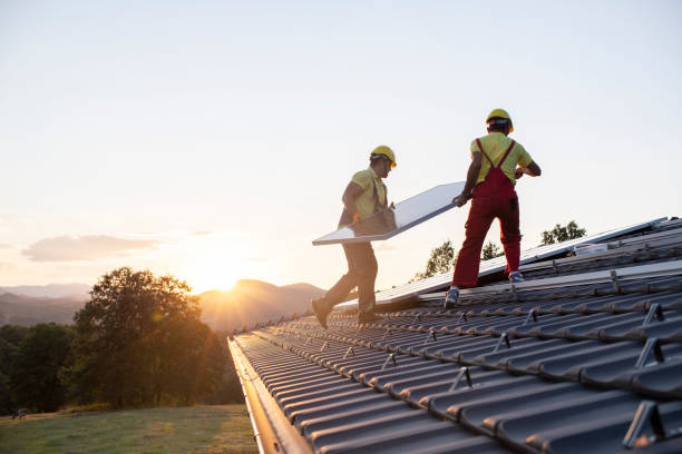 Best Roof Moss and Algae Removal  in Duncanville, TX