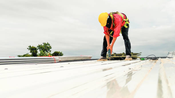 Best Roof Coating Services  in Duncanville, TX