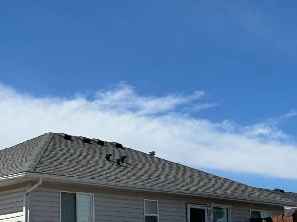 Best Roof Coating and Sealing  in Duncanville, TX